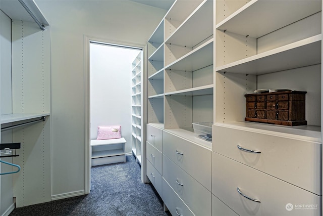 walk in closet featuring dark colored carpet