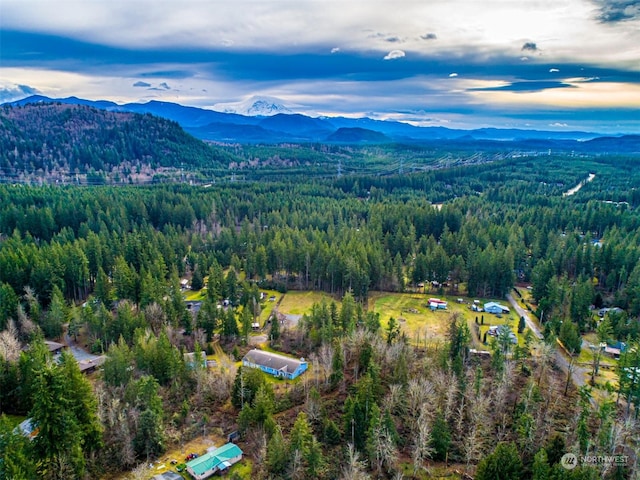 birds eye view of property with a mountain view