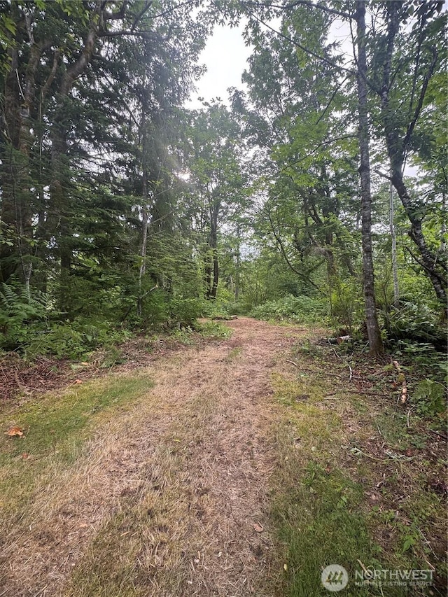 31724 SE 268th St, Ravensdale, WA 98051 - photo 7
