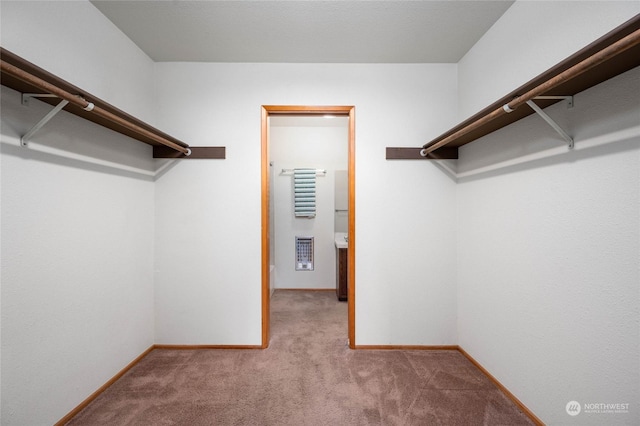 spacious closet featuring light colored carpet