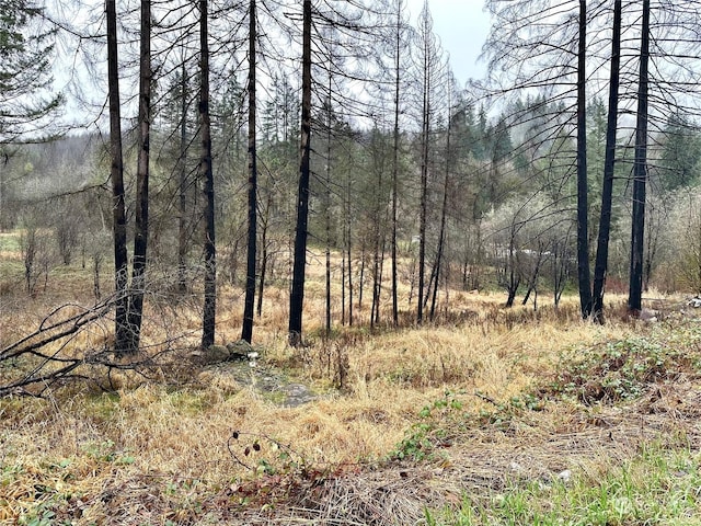 36803 NW Jenny Creek Rd, La Center, WA 98629