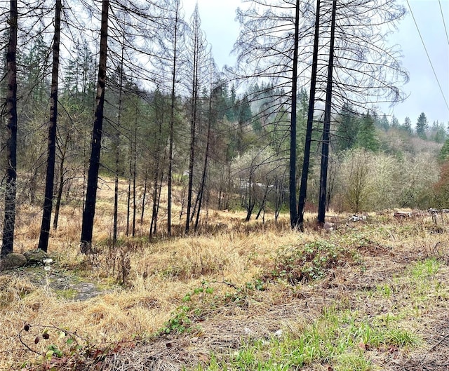 36803 NW Jenny Creek Rd, La Center, WA 98629