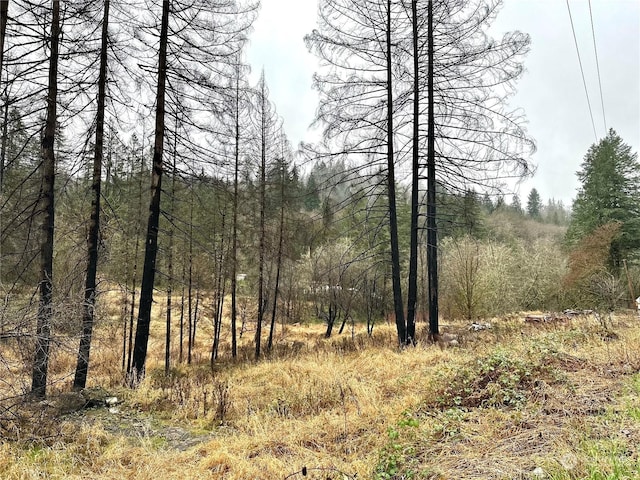 36803 NW Jenny Creek Rd, La Center, WA 98629