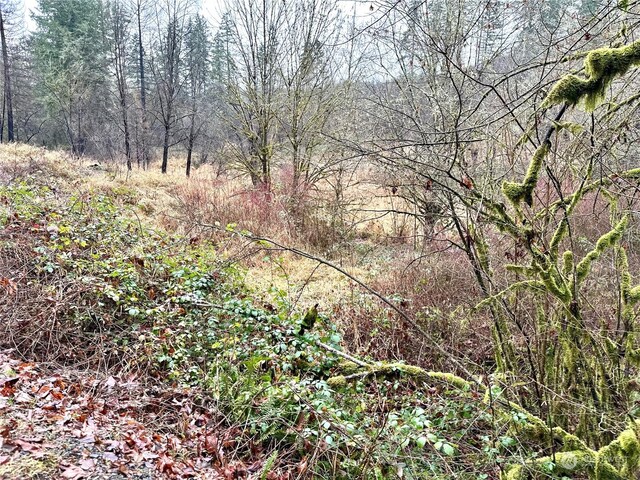 36803 NW Jenny Creek Rd, La Center, WA 98629
