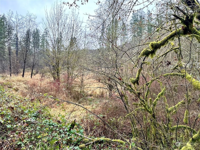 36803 NW Jenny Creek Rd, La Center, WA 98629