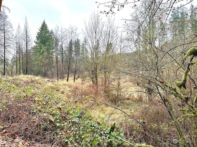 36803 NW Jenny Creek Rd, La Center, WA 98629