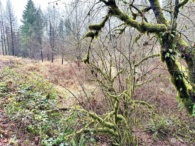 36803 NW Jenny Creek Rd, La Center, WA 98629