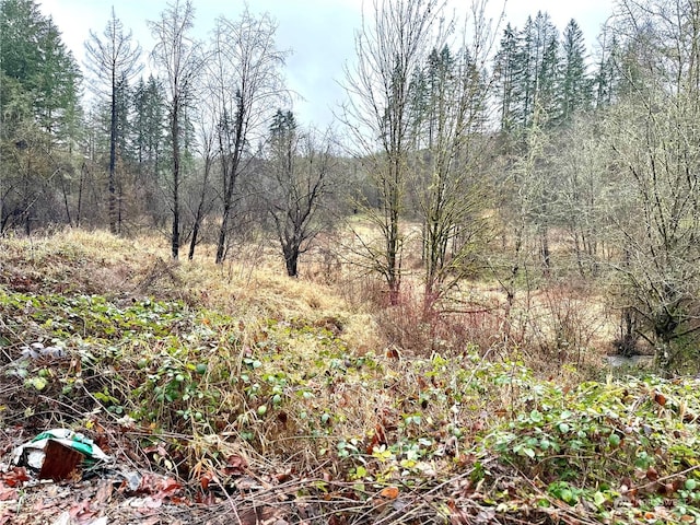 36803 NW Jenny Creek Rd, La Center, WA 98629