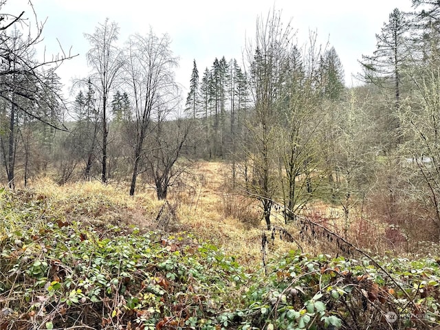36803 NW Jenny Creek Rd, La Center, WA 98629