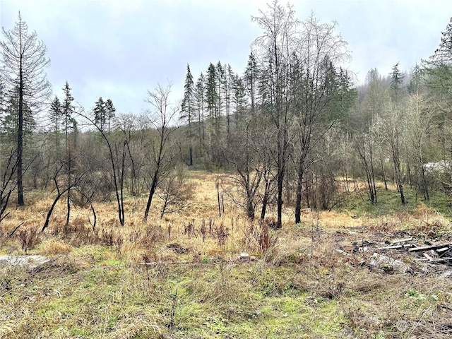36803 NW Jenny Creek Rd, La Center, WA 98629