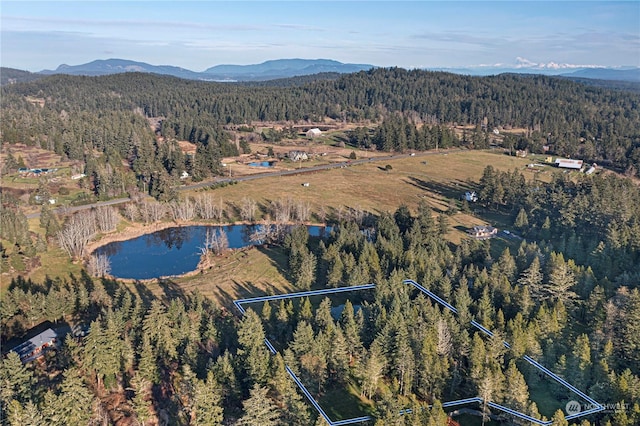 birds eye view of property featuring a water and mountain view and a view of trees