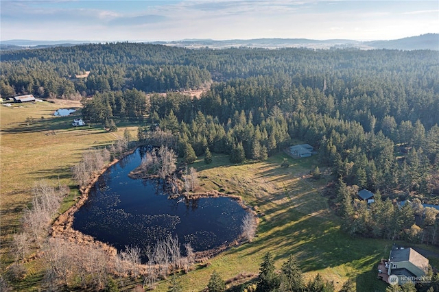 bird's eye view with a mountain view and a forest view