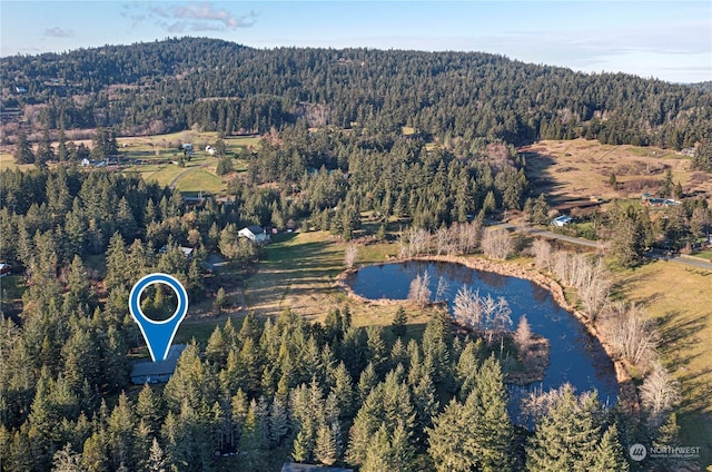 aerial view with a water view and a view of trees