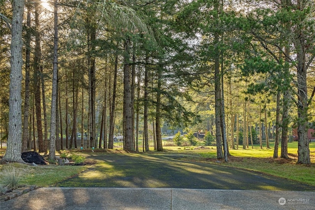 exterior space featuring driveway