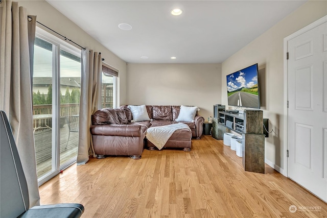 living room with light wood-type flooring