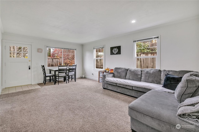 living room featuring light carpet and crown molding