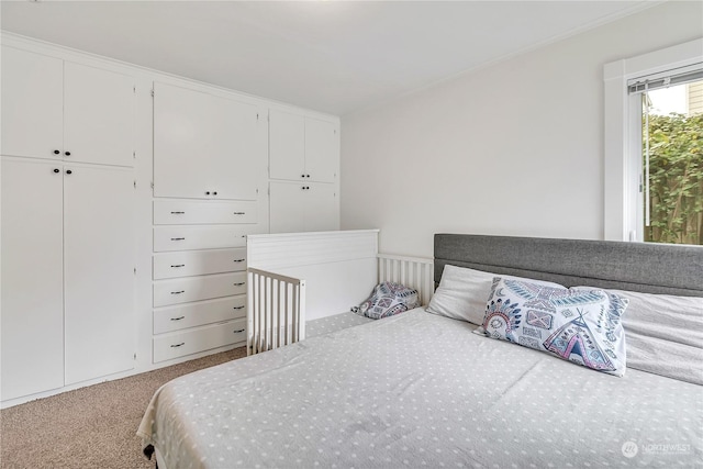 bedroom with a closet and carpet