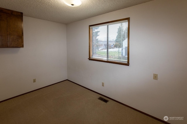 empty room with carpet flooring and a textured ceiling