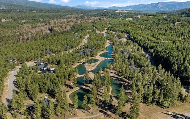 birds eye view of property with a water and mountain view