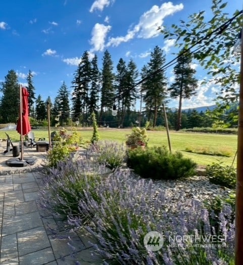 view of yard with a patio