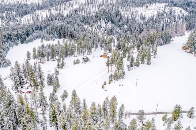 view of snowy aerial view