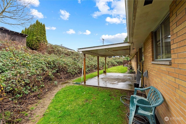 view of yard featuring a patio