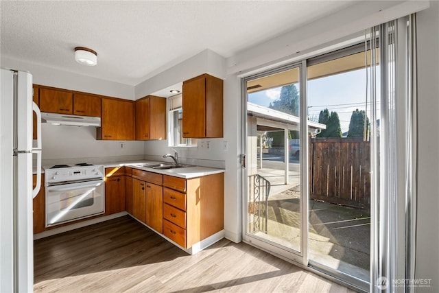 kitchen featuring under cabinet range hood, a sink, wood finished floors, white appliances, and light countertops