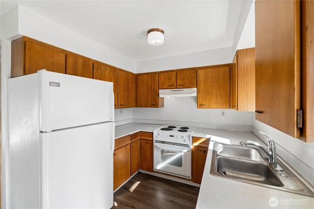 kitchen with under cabinet range hood, light countertops, brown cabinetry, white appliances, and a sink