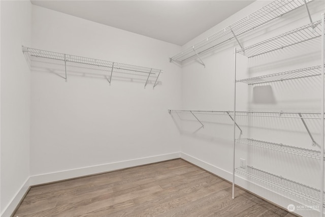 spacious closet with hardwood / wood-style flooring