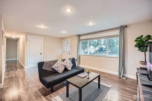 living room featuring hardwood / wood-style floors