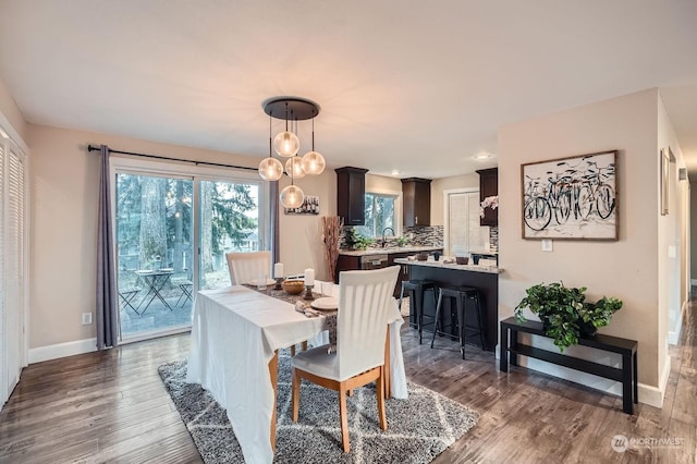 dining space featuring dark hardwood / wood-style flooring and sink