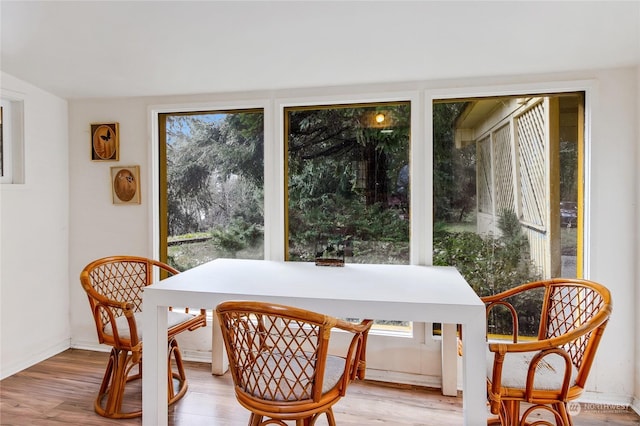 dining room featuring a healthy amount of sunlight