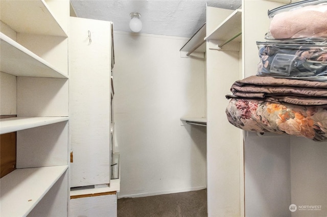 spacious closet featuring carpet floors