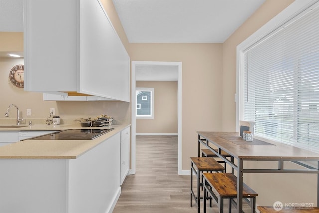 kitchen featuring black electric stovetop, a sink, white cabinetry, light countertops, and light wood finished floors