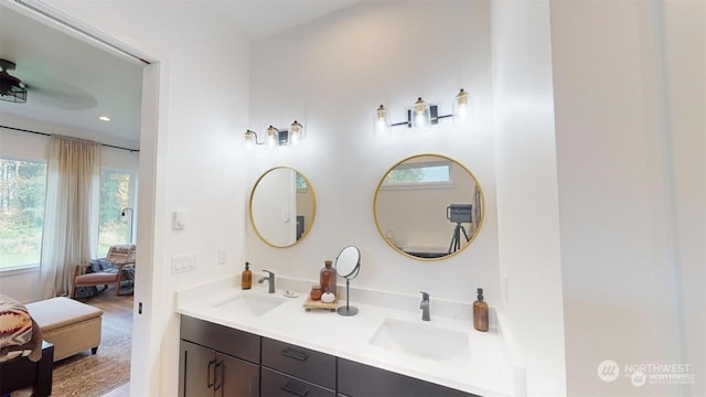 bathroom with hardwood / wood-style floors and vanity