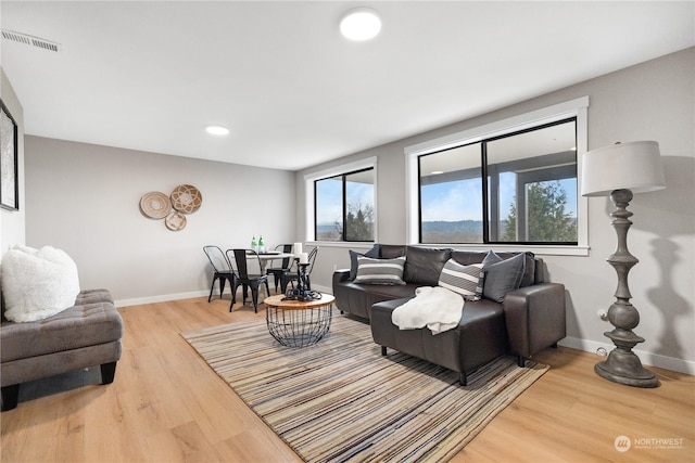 living room featuring hardwood / wood-style flooring