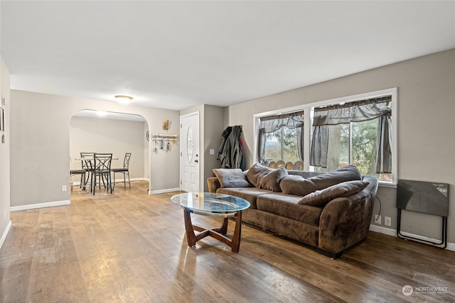 living room with hardwood / wood-style flooring