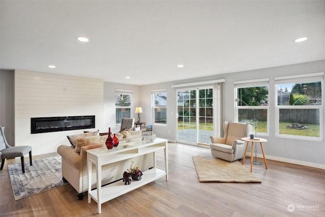 living room with a fireplace, light wood-type flooring, and a healthy amount of sunlight