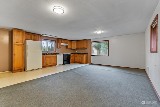 kitchen with white appliances, light colored carpet, a healthy amount of sunlight, and sink