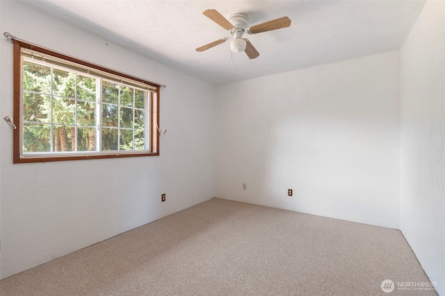 2256 Seminary Hill Rd Unit 33, Centralia, WA 98531 - photo 17