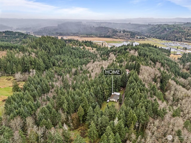 aerial view with a mountain view