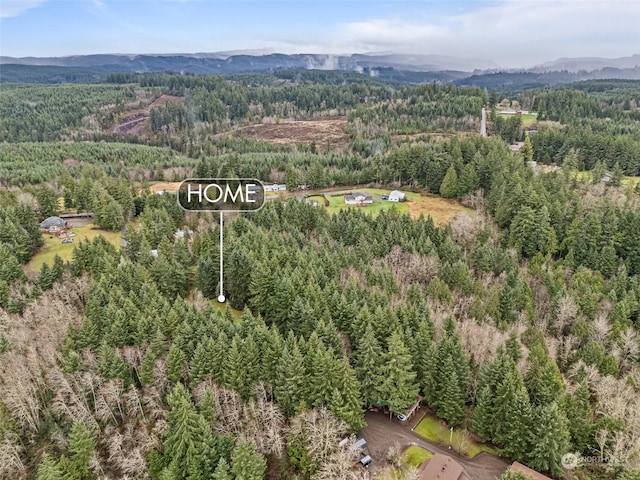 birds eye view of property featuring a mountain view