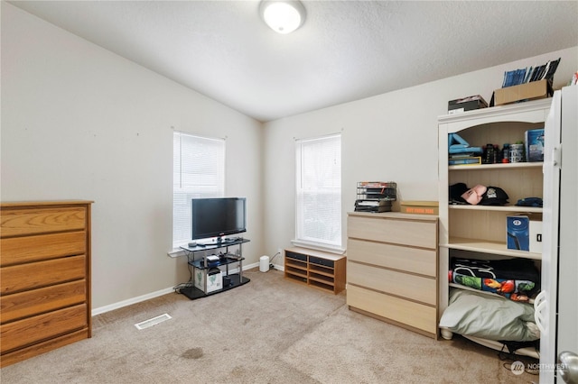 interior space featuring light colored carpet and lofted ceiling