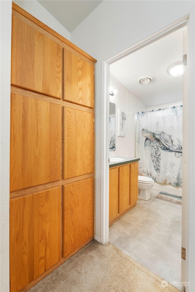 bathroom featuring vanity, toilet, and curtained shower