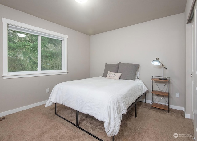 bedroom with carpet and a closet