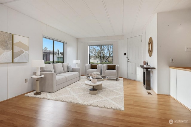 living room featuring light wood-type flooring