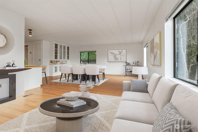 living room with hardwood / wood-style floors and a wealth of natural light