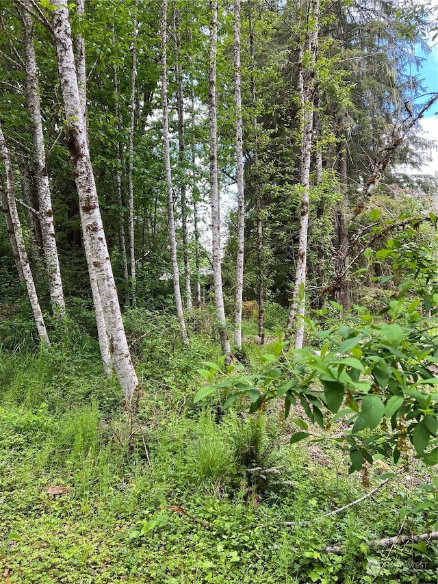 16024 Low Ln, Deming, WA 98244