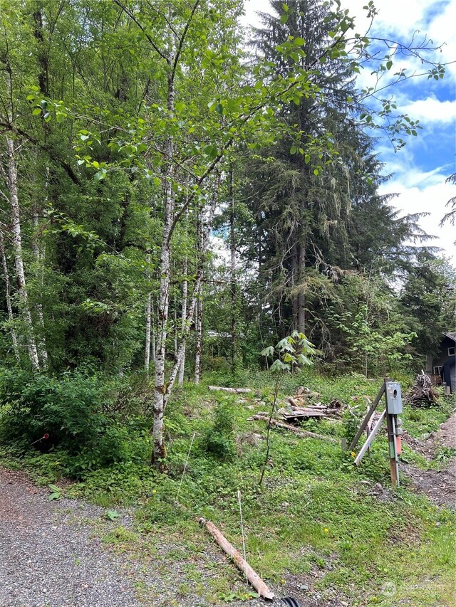 16024 Low Ln, Deming, WA 98244