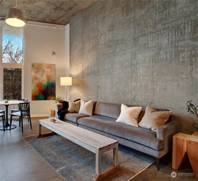 living room with concrete floors